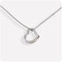 Delicate Heart Necklace